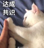 DƬ
